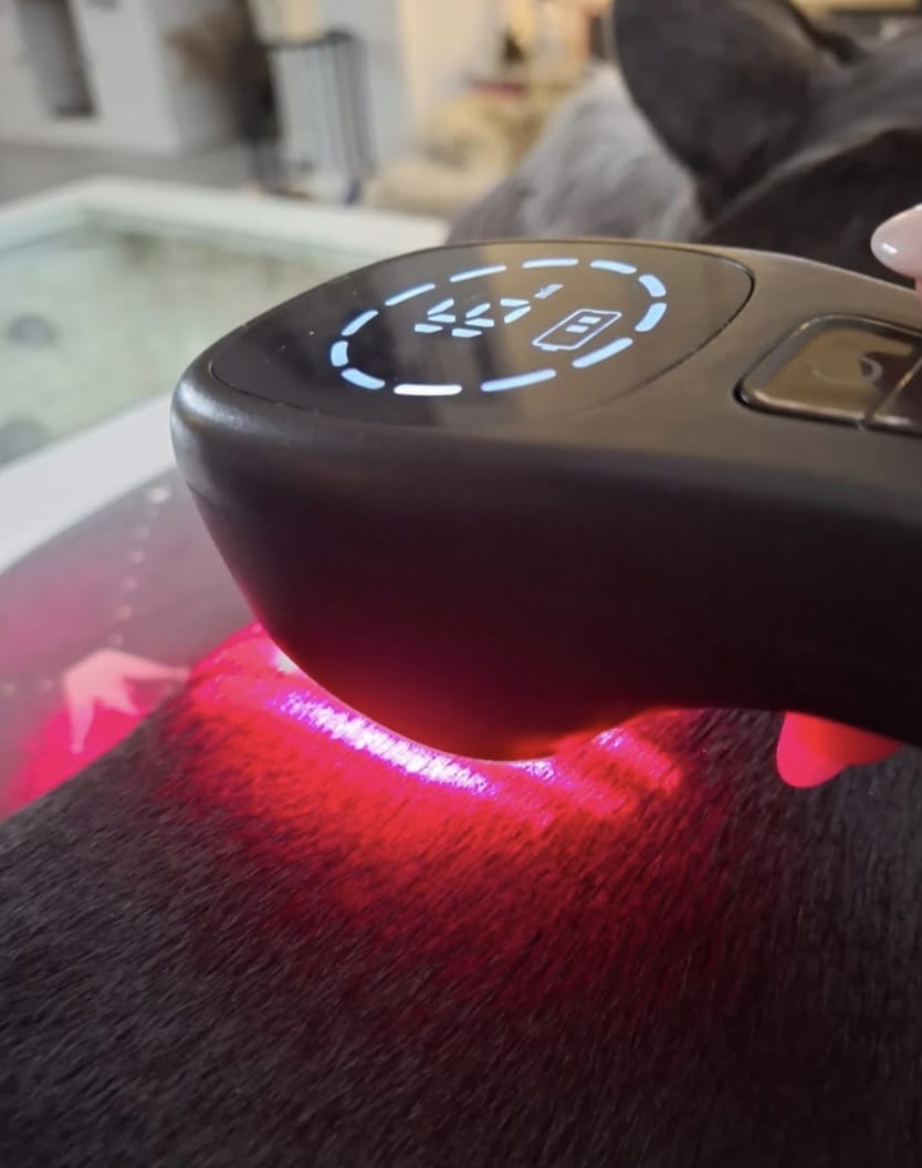 Lasertherapie Bild 3